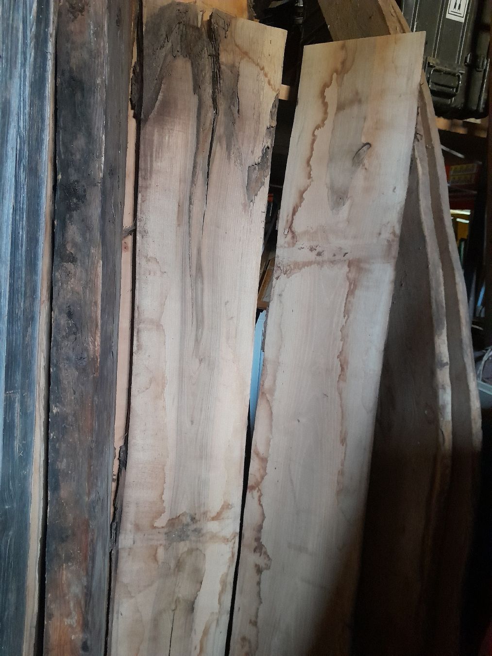 Articoli in legno: Nussbaumbretter – Usato da Marbach LU venduto da san_8kt5 1