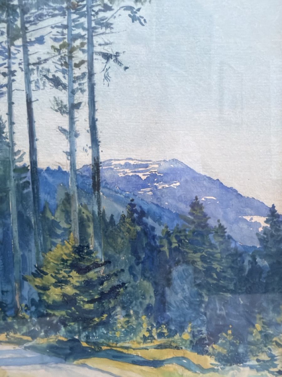 Dipinti: Aquarell antik, signiert – Usato da Biberist venduto da Momo33 3