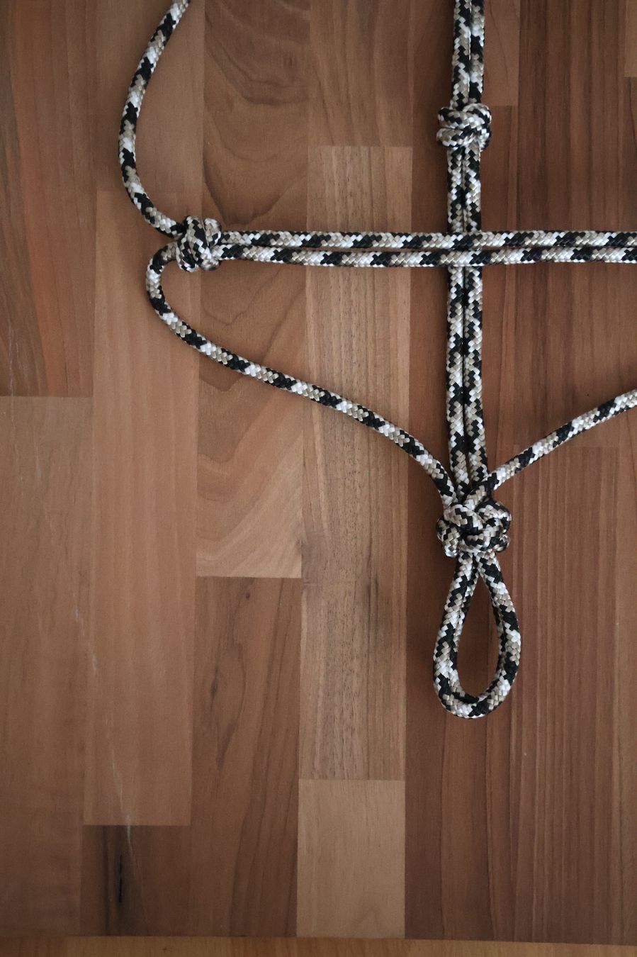 Briglie & Cavezze: Knotenhalfter Full – Nuovo (secondo la descrizione) da Meggen venduto da Orrinka20 2