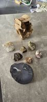 Mineralien Sammlung 8 Stuck gute Sammlung