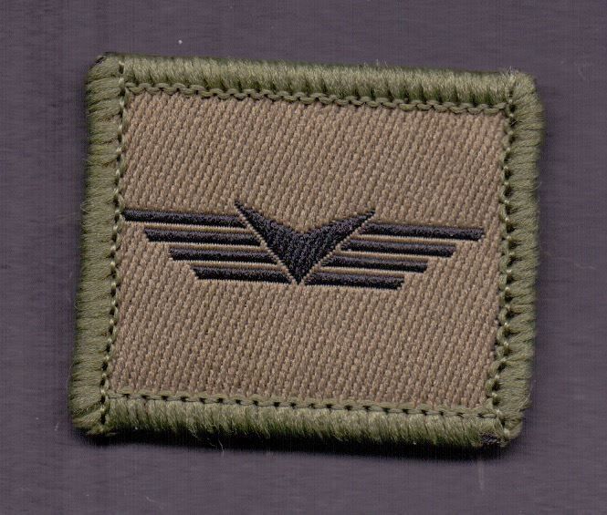 Schweizer Armee Placchette & Badge: Drohnengeschwader – Usato da Koblenz venduto da Himmelsreiter