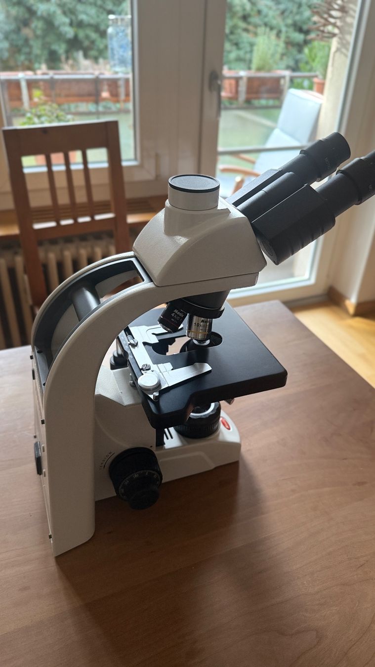 Microscopi: Mikroskop Motic BA-310E Elite Trinocular Microscope – Nuovo (secondo la descrizione) da Basel venduto da 7oclock 7