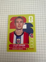 Panini Sticker WM 2026, NOR 8 Torbjorn Heggem
