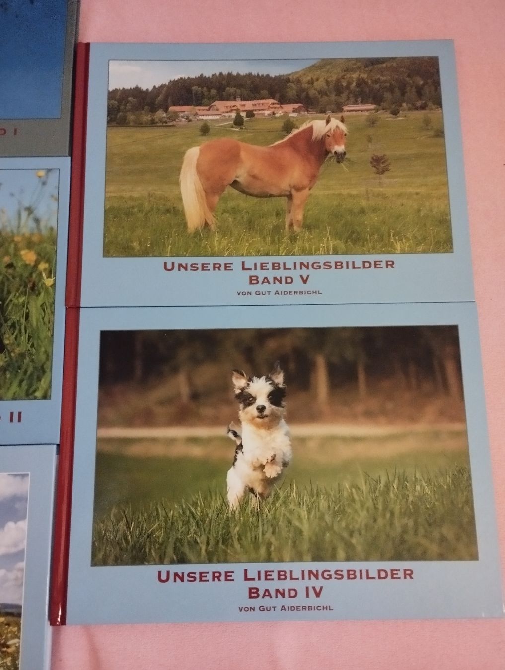 Bücher: Bildbände Gut Aiderbichel. Neu, 5 Stück – Neu und originalverpackt aus Ostermundigen von Dinge1 1