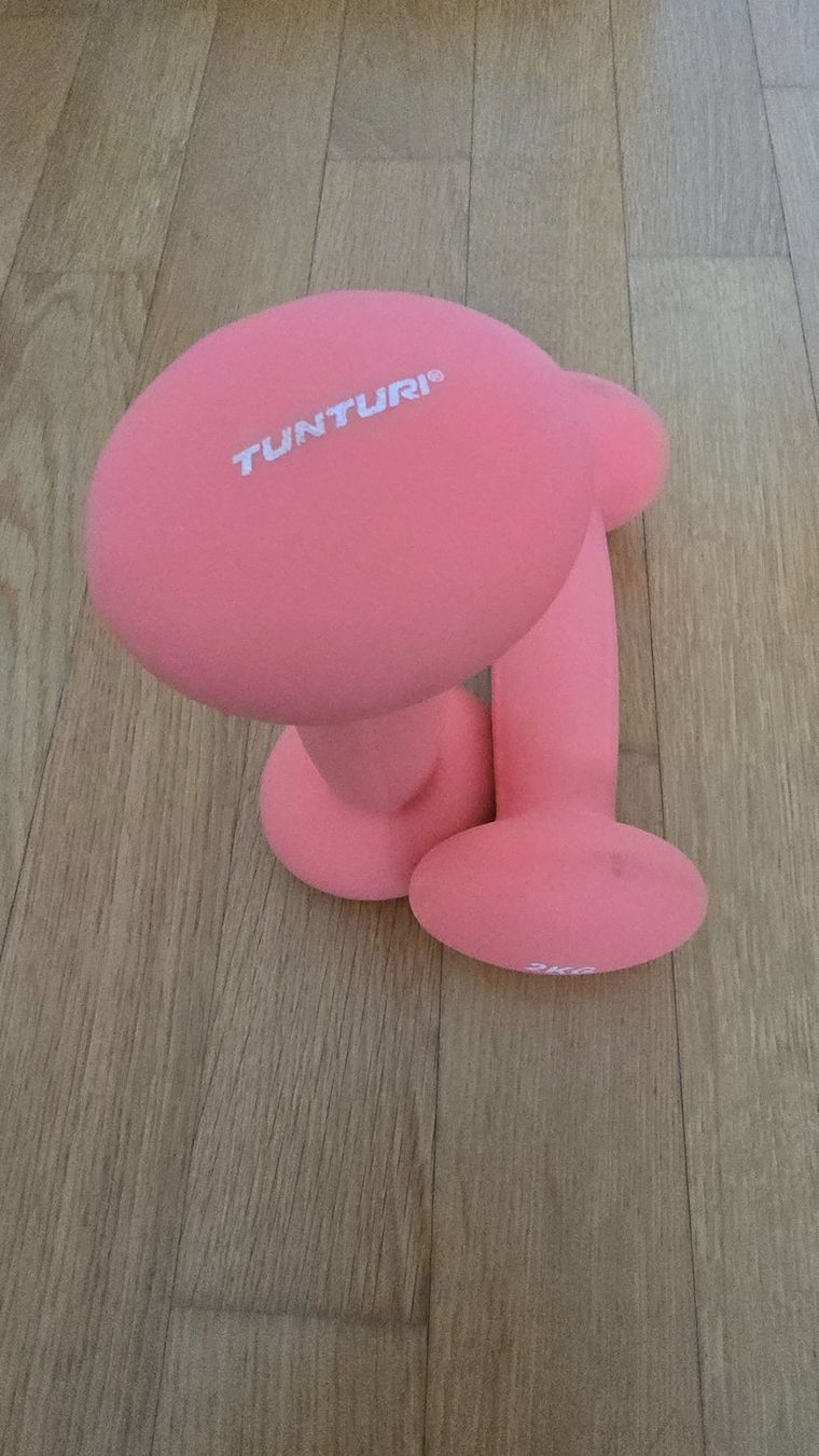 Tunturi Manubri & Pesi: Tunturi Kurzhantel Set 2x 2kg – Usato da Rafz venduto da Domimir 3