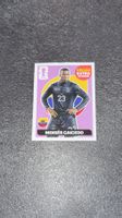 Panini FIFA Extra Sticker: Moisés Caicedo WM 2026