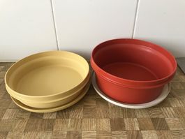 Tupperware    2 Schüsseli mit Deckel