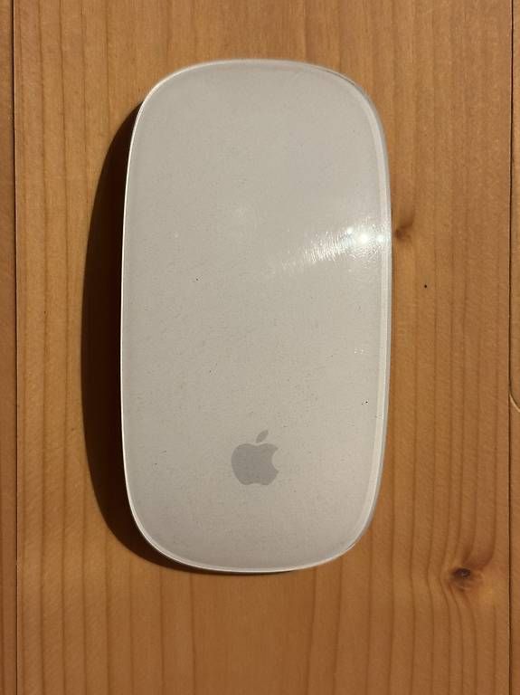 Mouse: Apple Magic Mouse – Usato da Winterthur venduto da RajivS