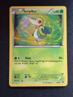 Pokemon Serpifeu Holo BW01 Black Star Promo