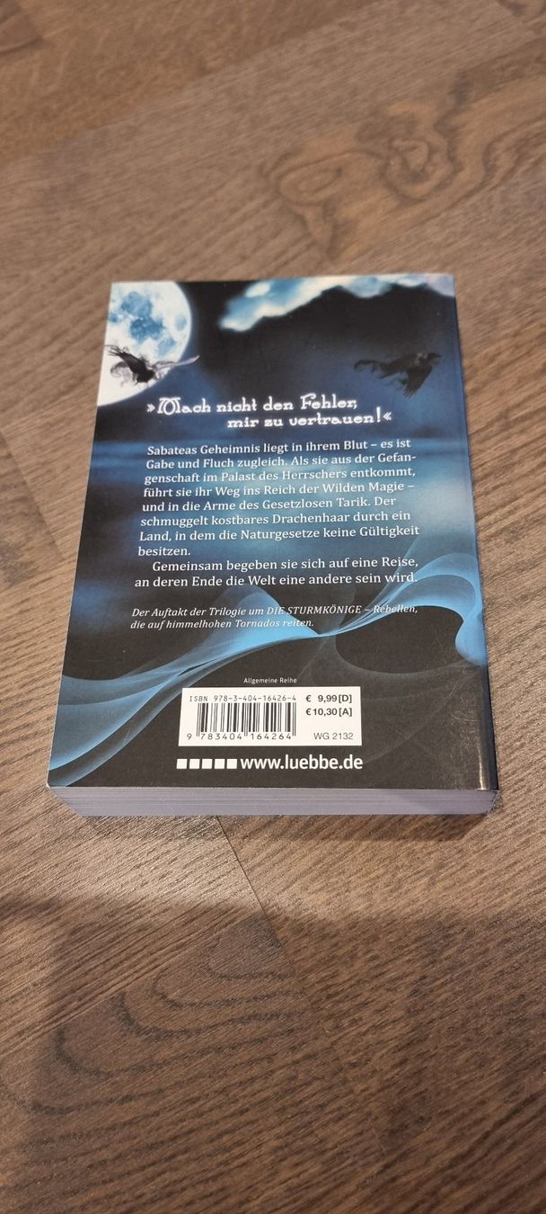 Libri: Die Sturmkönige - Kai Meyer – Usato da Hinterforst venduto da impatiently 1