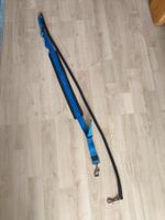 Hunde Joggingleine Bauchgurt / Colly