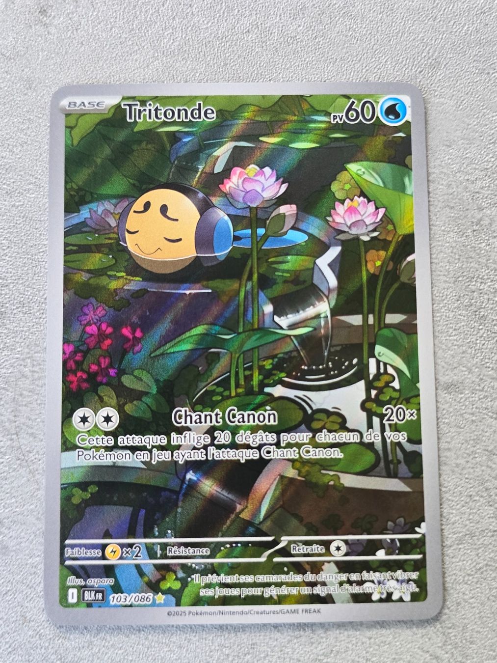 🇲🇫 Pokemon Black Bolt / Foudre Noire 》Tritonde (Neu (gemäss