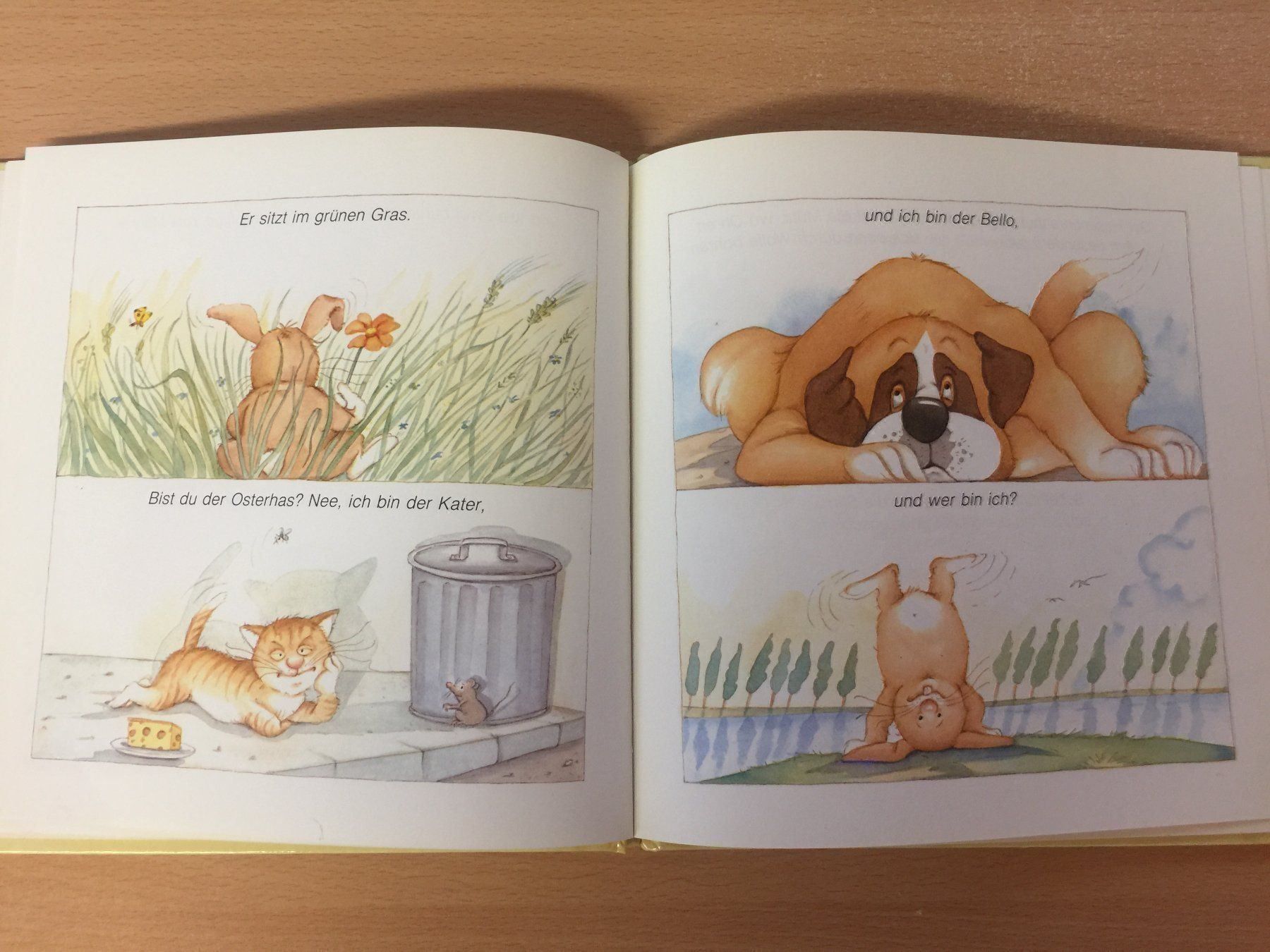 Libri: Haha Hase – Usato da Glattfelden venduto da cybermaxx 4