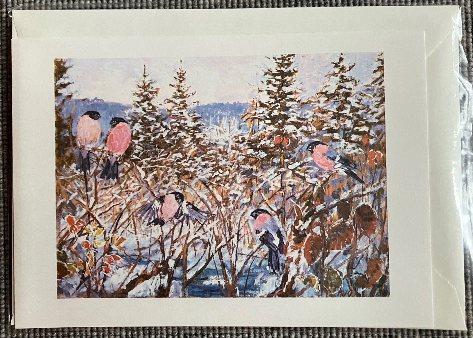 Cartoline: Fritz Hug Karten A5, 10 verschiedene Sujets – Nuovo e nell'imballaggio originale da Zürich venduto da CPH56 2