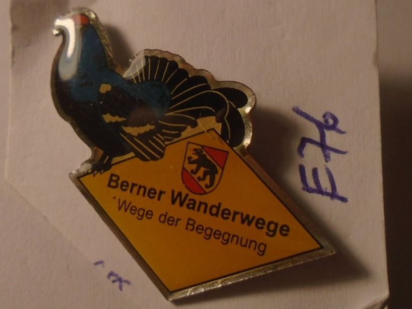 Placchette & Badge: 1 Berner Wanderwege Pin (E76) – Usato da Winterthur venduto da Beli2000