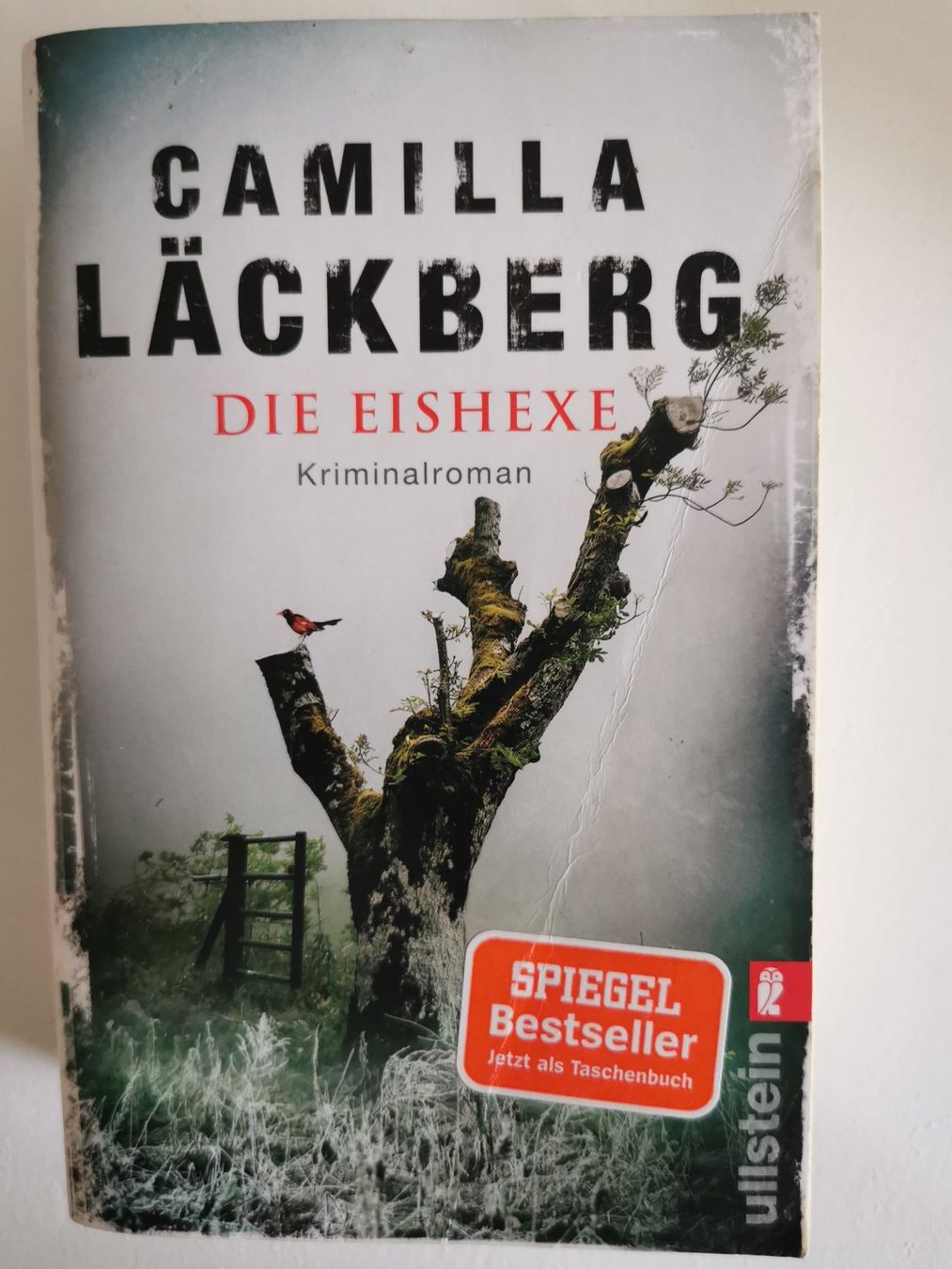 Bücher: Krimi/Thriller - 5 Bücher - 5 Franken – Gebraucht aus bern von jeannie2006 4