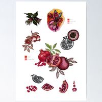 A4 Frucht Druck Print von Handgemalte Botanische Granatapfel