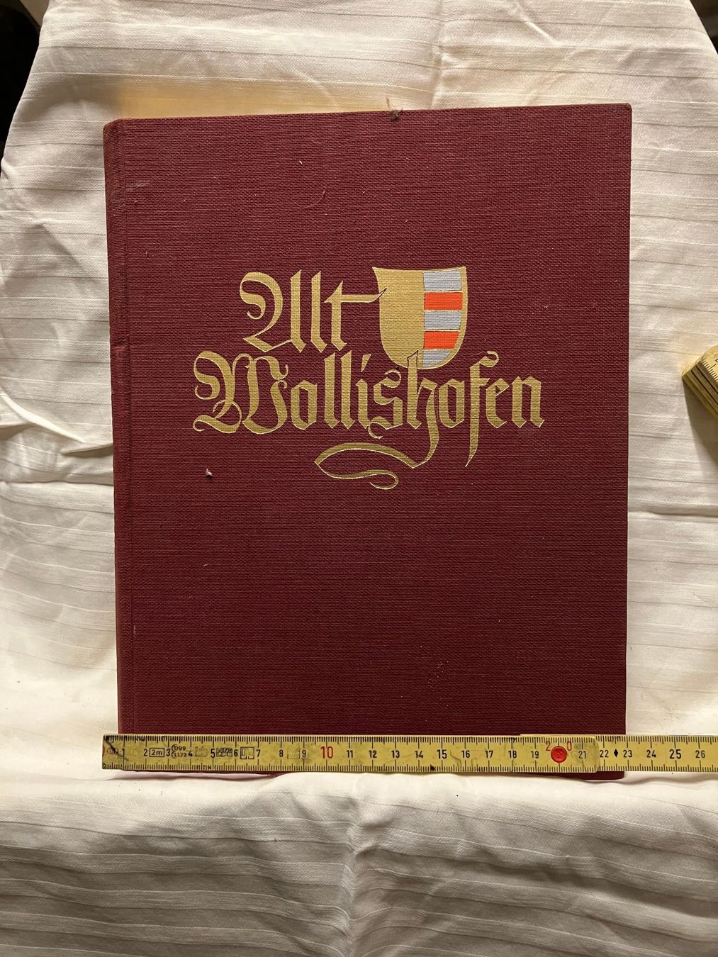 Libri: ALT WOLLISHOFEN UM 1926 – Usato da Pfäffikon ZH venduto da Einarrolf