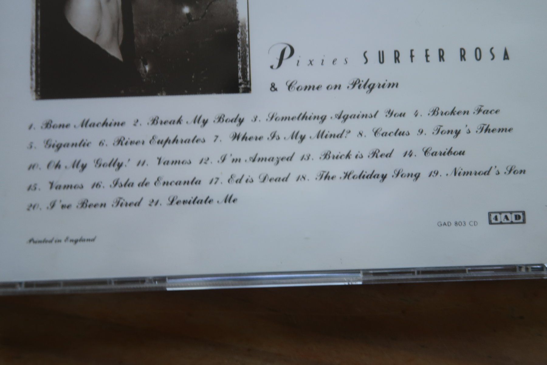 CD: PIXIES - SURFER ROSA & COME ON PILGRIM - CD – Usato da Basel venduto da Patiscat 2