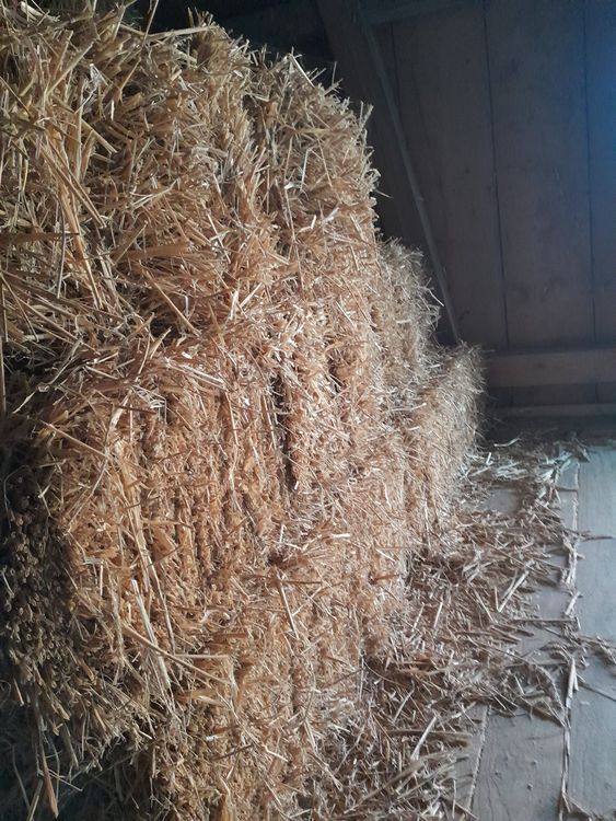 Strohballen Kaufen In Der Nahe