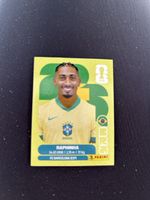 Panini BRA 19