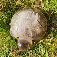 * Rauchquarz Schildkröte * 295g Handgeschnitzt AAA Qualität