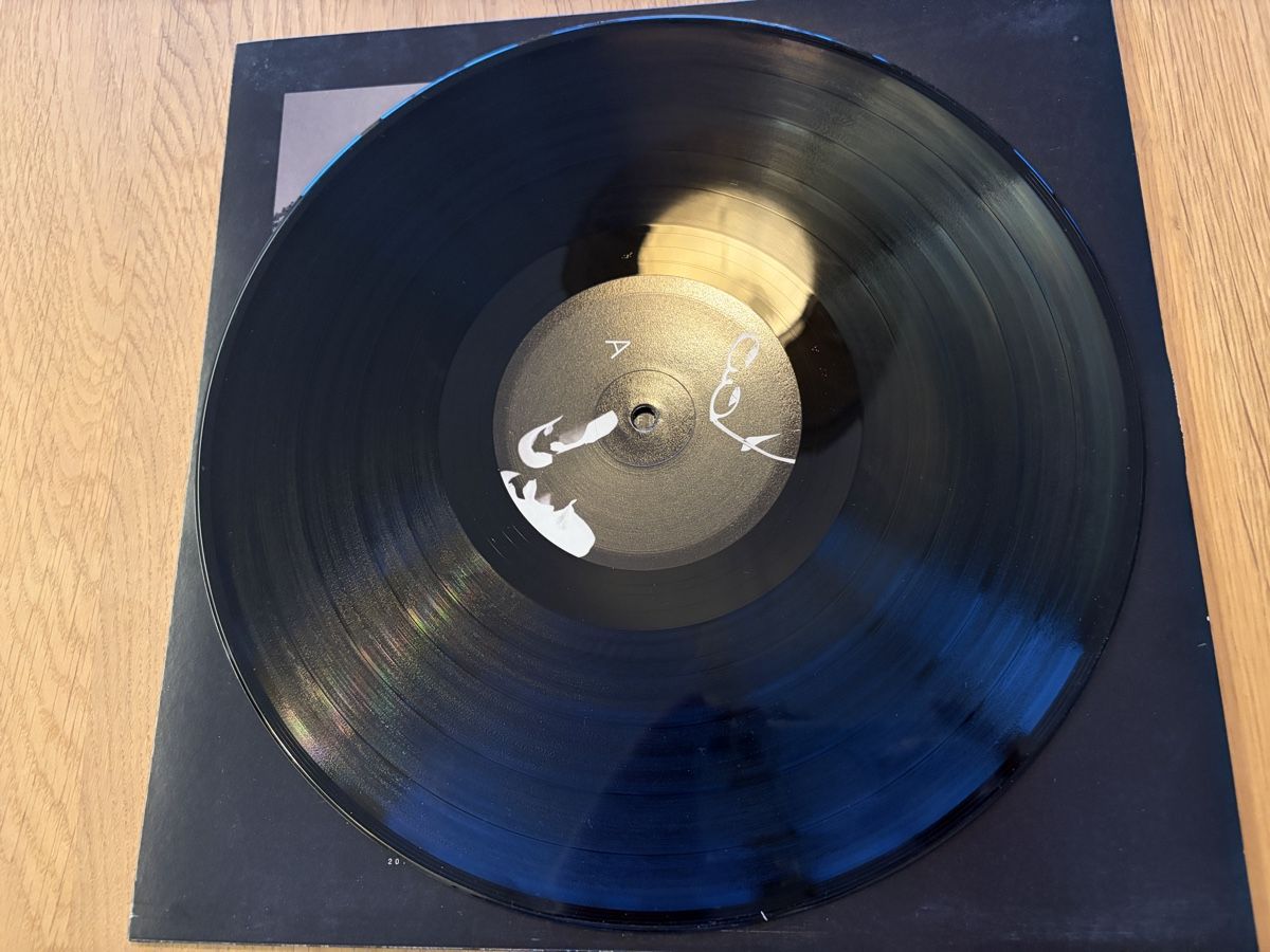 Dischi in vinile: Schallplatte #DIY Album LP Trettmann 2017 – Usato da Otelfingen venduto da MLaemmli 4