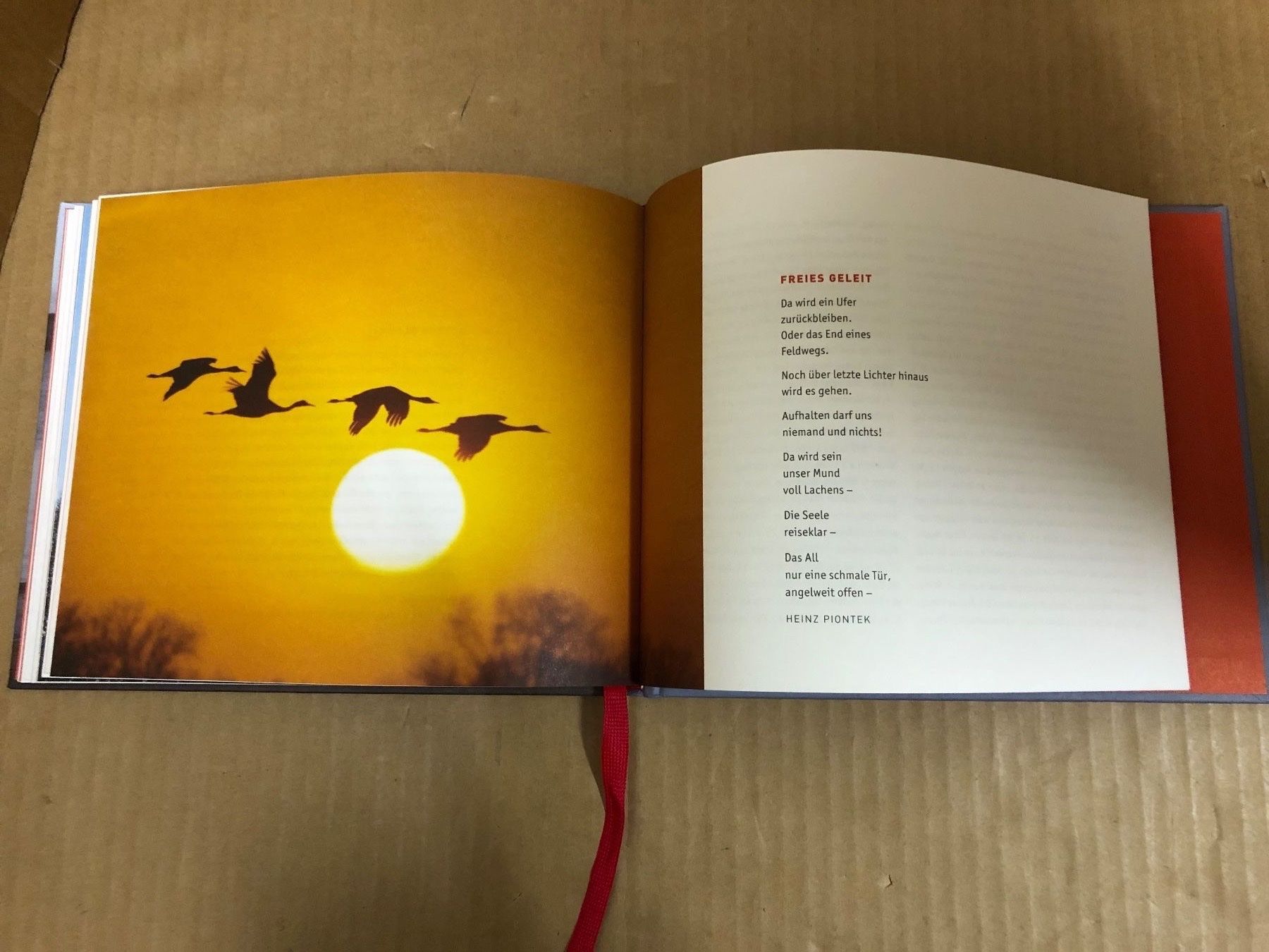 Libri: Buch Ach! (Weihnachten) – Usato da Eschlikon TG venduto da 1.- 8