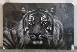 Leinwandbild „TIGER“ 78 x 118 cm