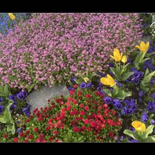 Profile image of vithya88