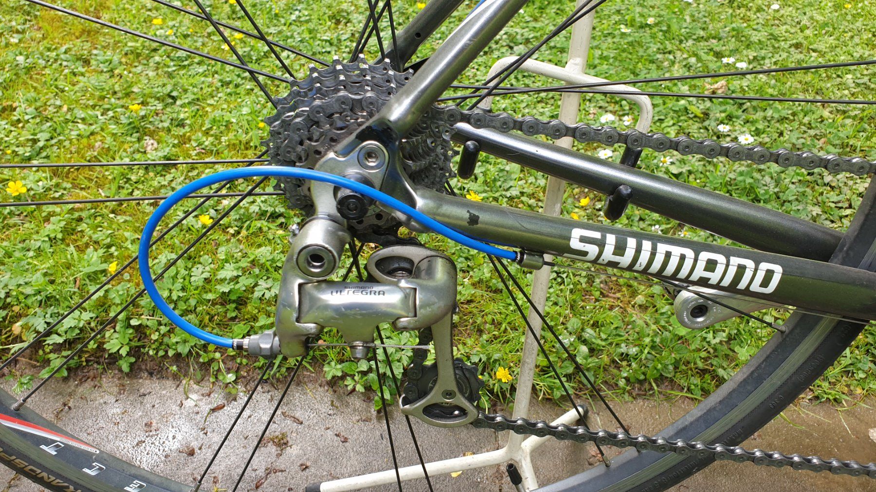 Biciclette: Trek Alpha – Usato da Luzern venduto da RJN01 2