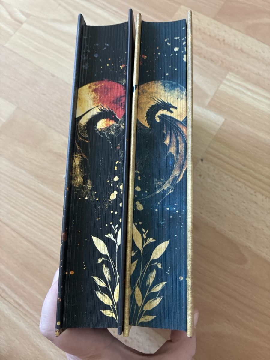 Livres: Dragonblood Academy  – Neuf (Voir description) à Mels par joe_lin572 1