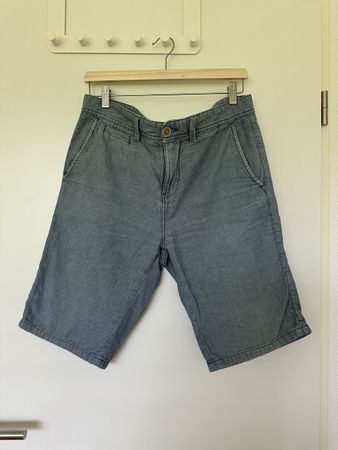 Men Linen Summer Shorts in Blue