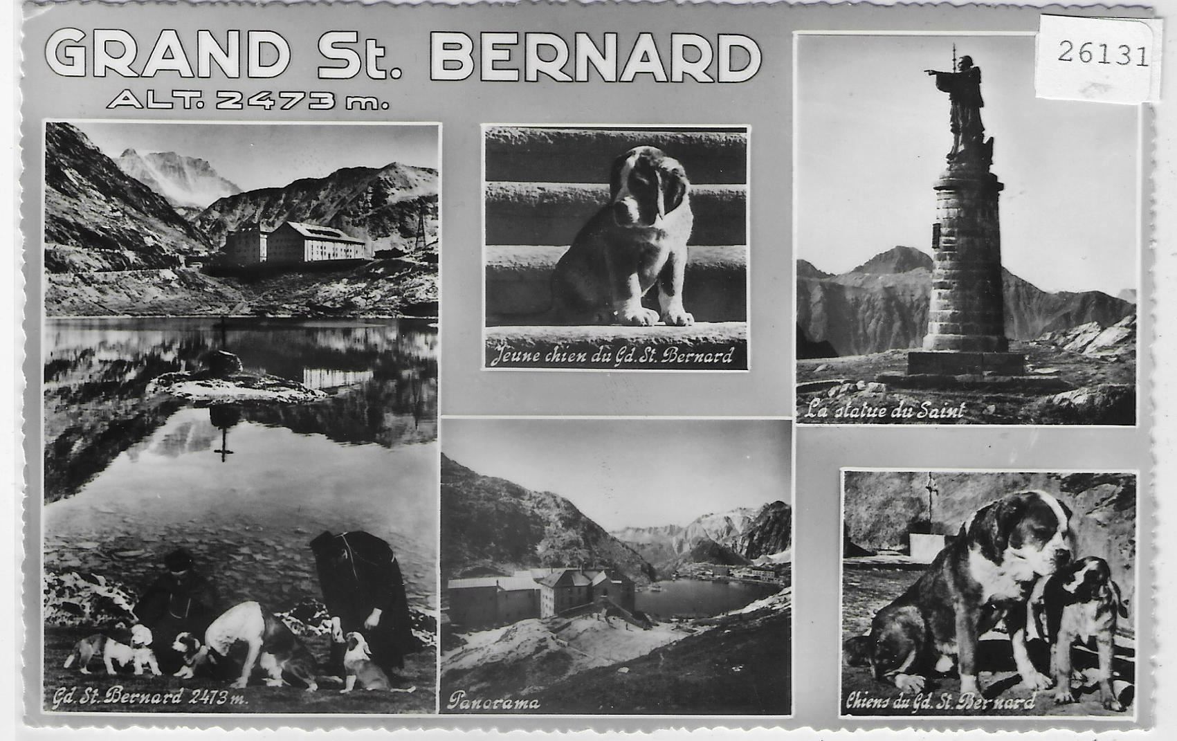 Cartoline postali: Grand St. Bernard - Multiview - Hunde – Usato da Ettingen venduto da Kartenplanet