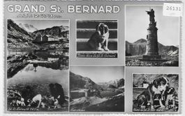 Grand St. Bernard - Multiview - Hunde