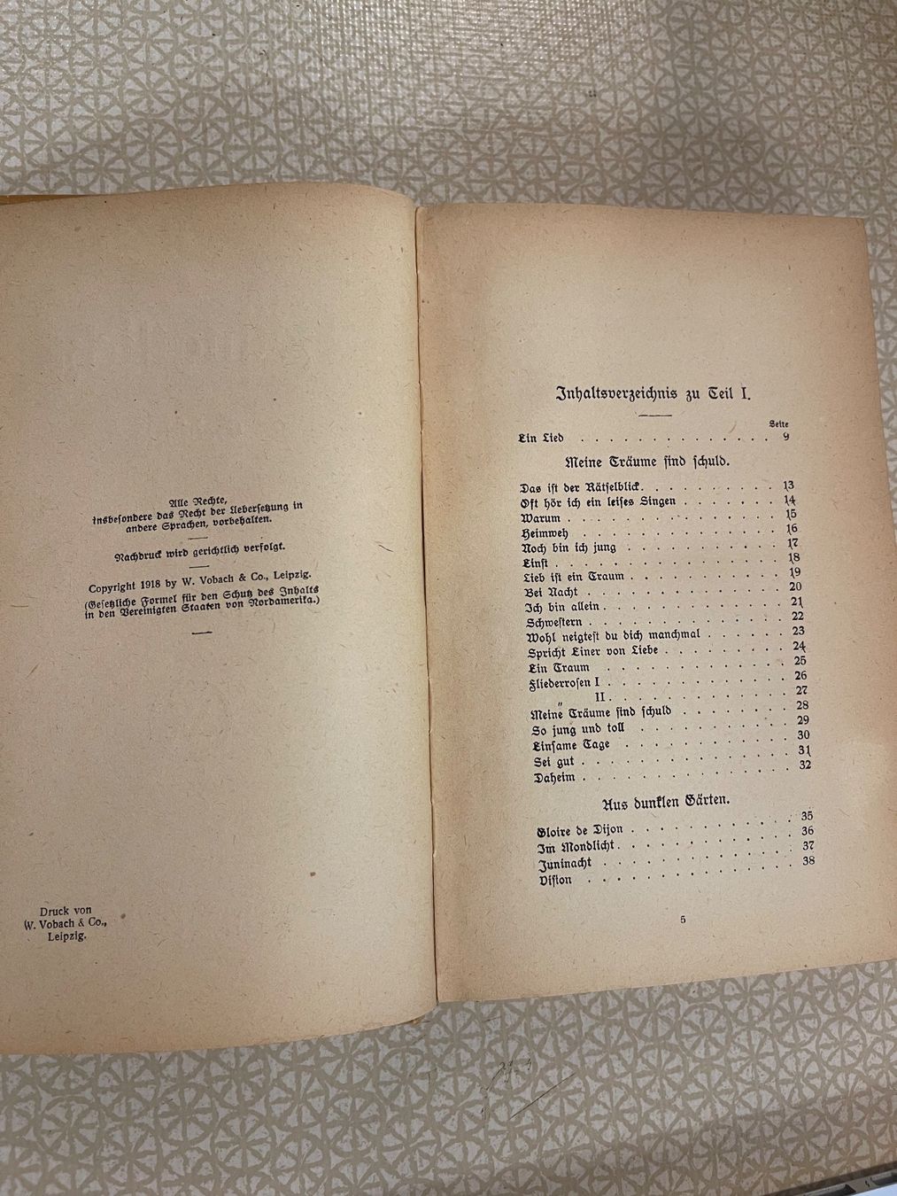 Livres: Buch - Heimatlicht. Gedichte von Leon Danderfee – D'occasion à Urnäsch par pas_5r9c 4
