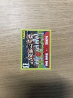 Panini FIFA WC TUR 13