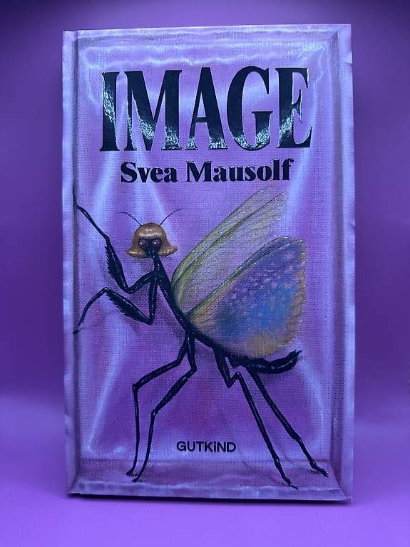 Livres: Image - Svea Mausolf – D'occasion à Olten par Julia.Ramona