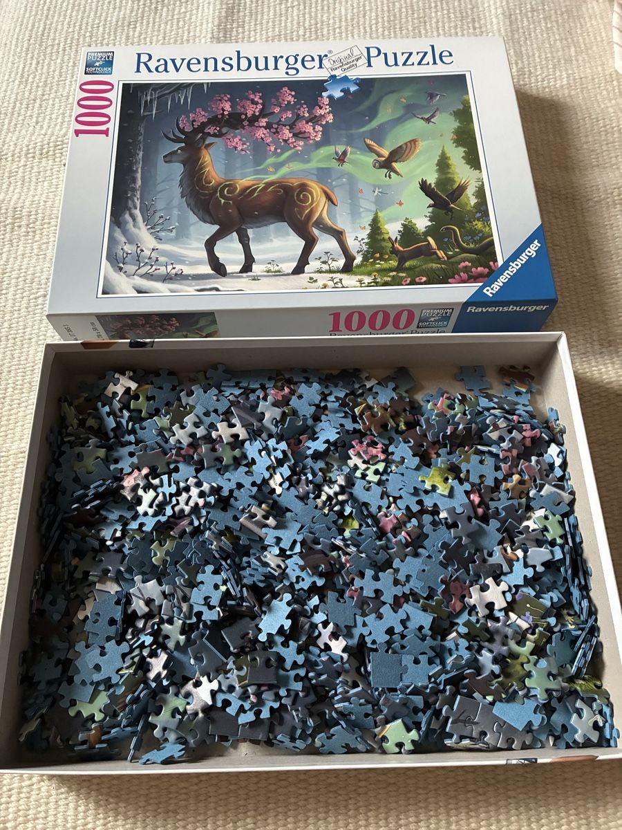 Ravensburger Puzzle: Ravensburger Puzzle 1000 – Usato da Bern venduto da wisemagpie 3