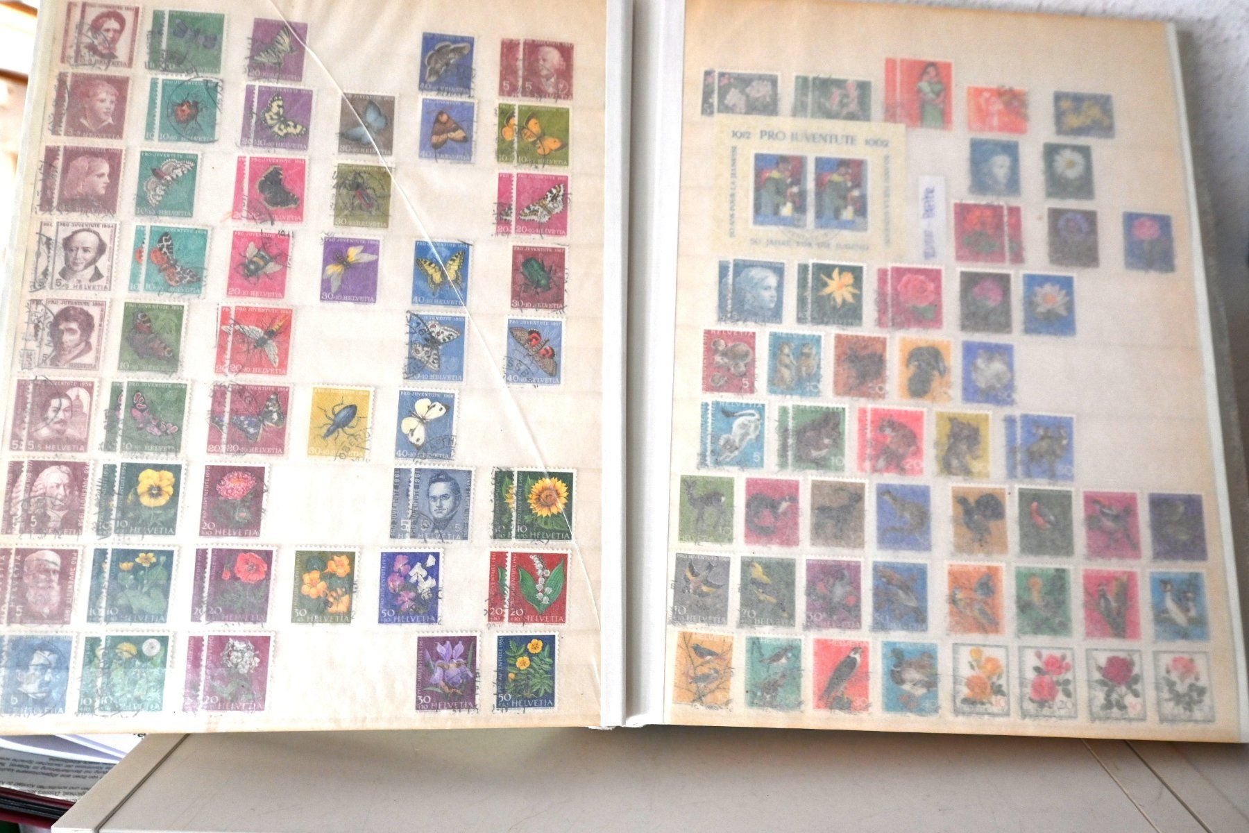 Tutti i francobolli: 1 Sammlung Schweiz 2.9. – Usato da Steffisburg venduto da Sorbas 4
