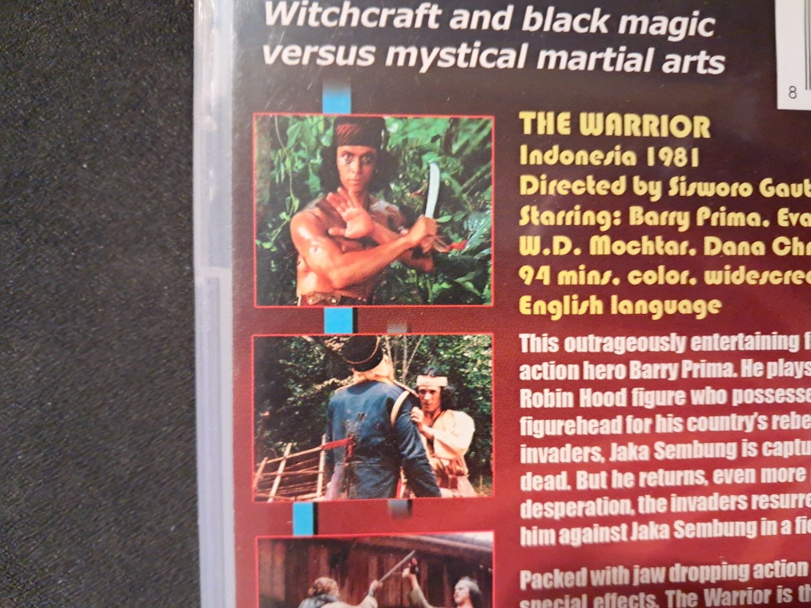 Tutti i DVDs: The Warrior – Usato da Eschlikon TG venduto da Rare_Ware 3