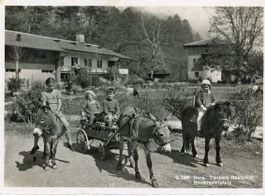 Bern  BE  -  Tierpark DÄHLHÖLZLI - Kinderspielplatz - Pony