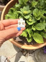 Sommerliche Ohrstecker Kristalle Neu 