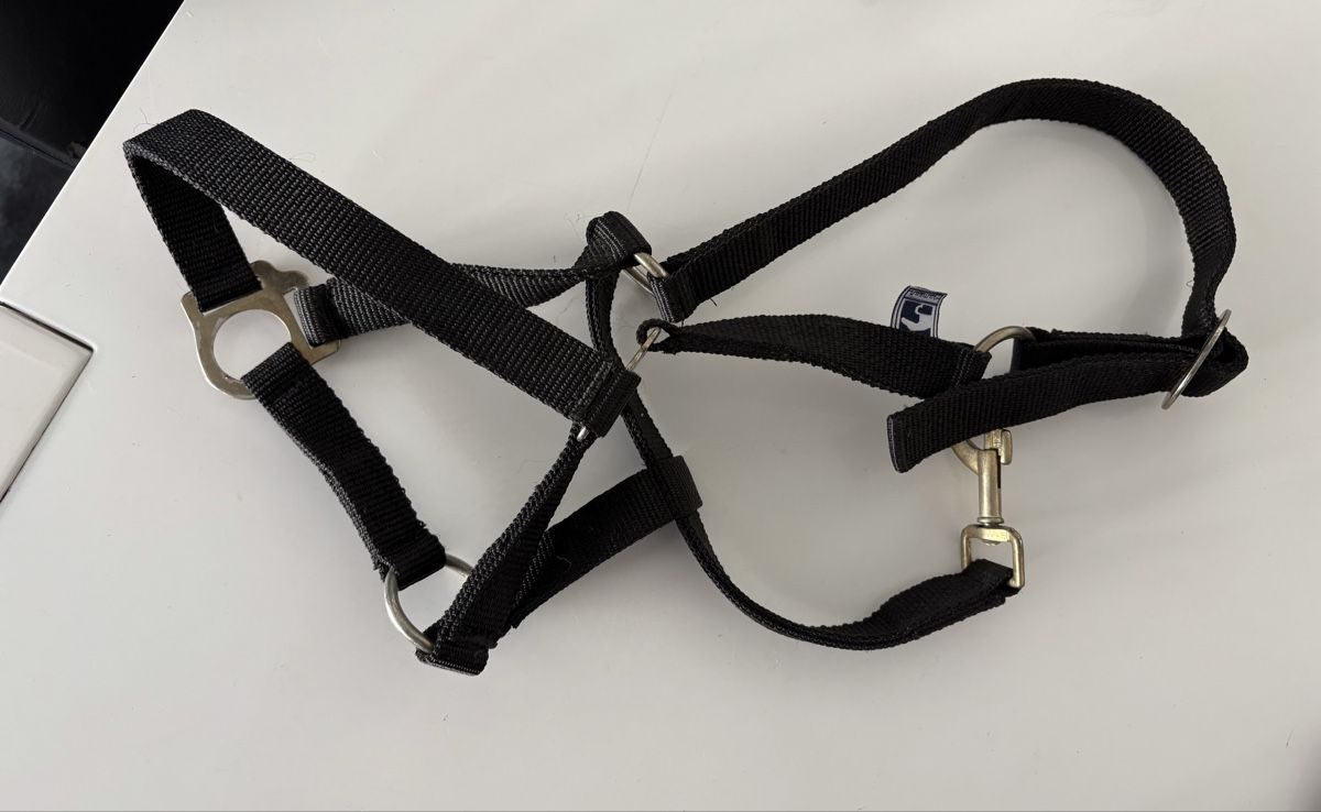 Briglie & Cavezze: Ponyhalfter – Usato da Emmenbrücke venduto da mar_8x9w 2