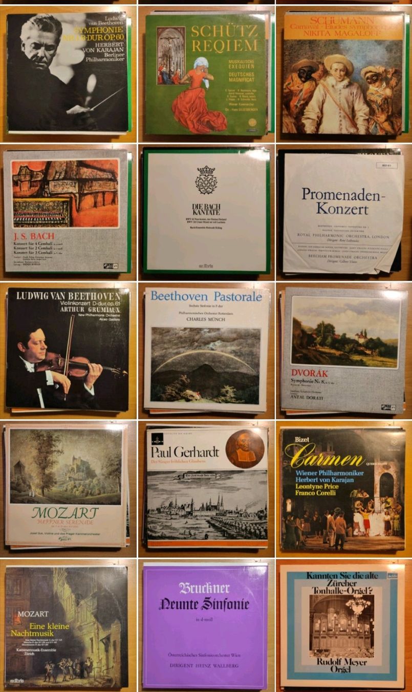 Dischi in vinile: diverse Schallplatten (2 CHF pro Stk.) – Usato da Zollikofen venduto da ayl_p5gv
