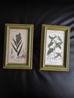 2er Set Botanische Drucke, Wanddeko mit Rahmen, Vintage