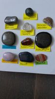 10er Set Trommelsteine mit seltenem Azurit: Set 44