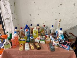 Haushaltsreiniger ,diverse (58)