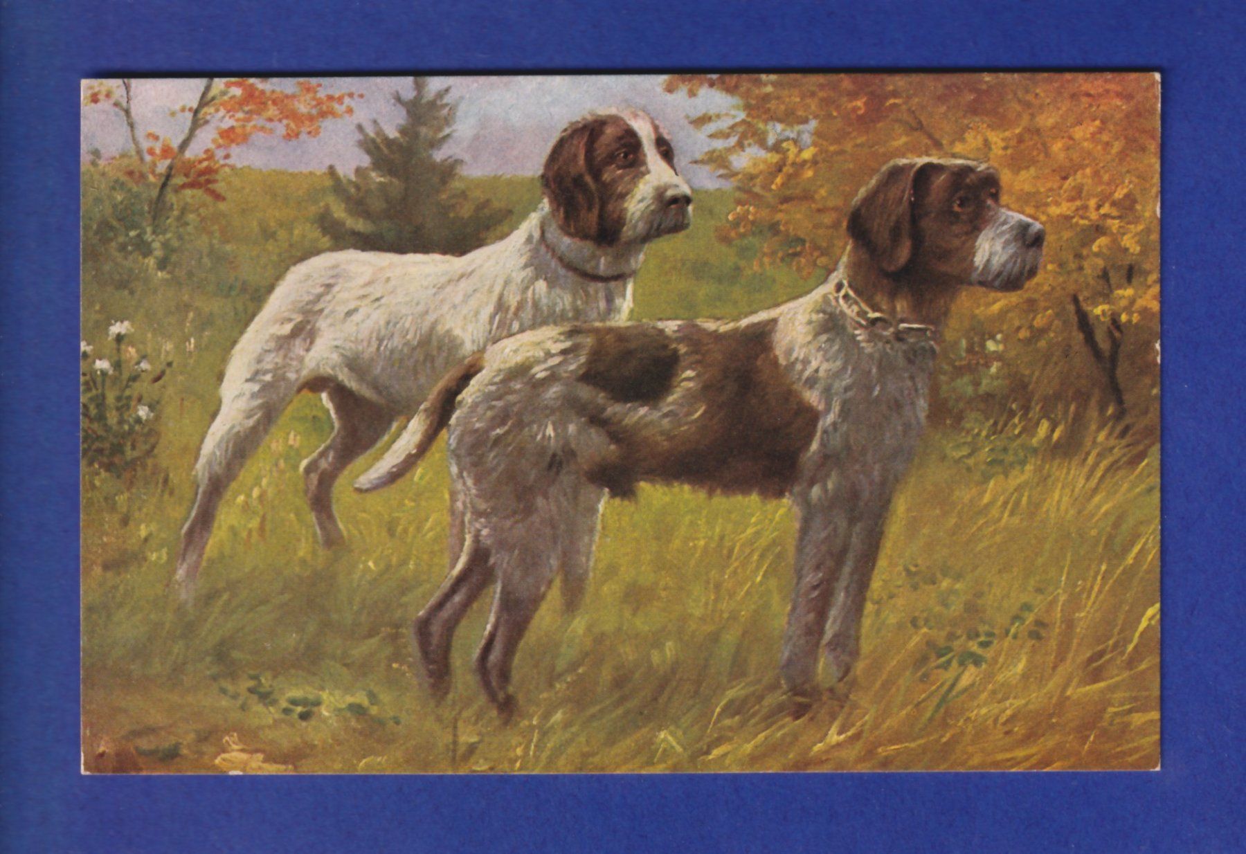 Cartes postales: CHIEN / HUND – D'occasion à Pully par nicecards-shop