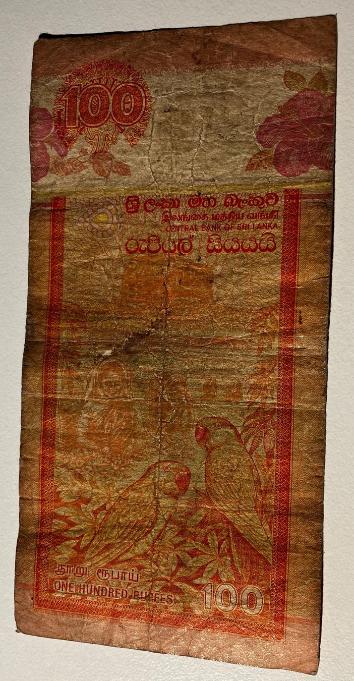 Banconote: Sri Lanka 100 Rupees 2006 – Usato da Algetshausen venduto da Carrhard 1